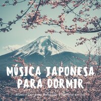 Trastornos del Sueño - Dormir Ayuda