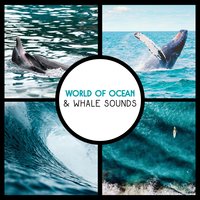 Boost Your Psychic Power - Soothing Ocean Waves Universe