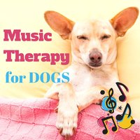 Nature Lover (Music for Dogs) - Dogs Music Therapy
