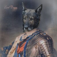 Inner Voicings - Dog Music Club & Relaxing Music for Dogs & Música Relajante para Perros