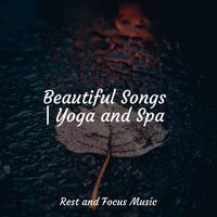 A Calm Forest - Música para Relaxar Maestro & Studying Music & Exam Study Classical Music Orchestra