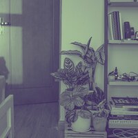 Музыка (Атмосфера) - большой Музыка в лобби отеля
