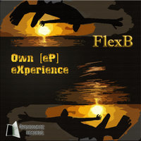 Primeiros Grooves - FlexB