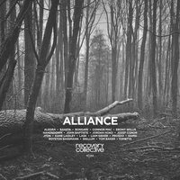 Vivillion - Connor Mac & Alegra