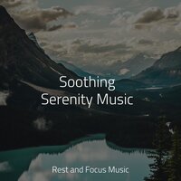 Pure Focus - Classical Study Music & Deep Sleep Systems & Tonal Meditation Collective