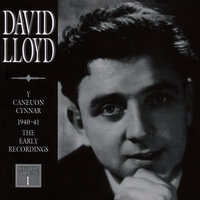 Rhyfelgyrch Gwyr Harlech - David Lloyd