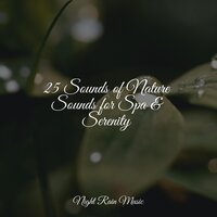 Heavy Ocean Waves - Rain & Massage & Ruído branco