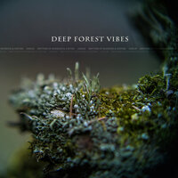 Underwater Space - Edelis & Rhythm of Mankind & Nature