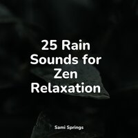 Watching Rains - Sol y Lluvia & The Sleep Principle & Fresh Water Sounds for Inner Peace