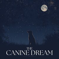Sands of Sustained Support - Soothing Dog Sounds
