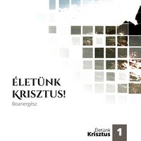 Anyámnak, az Egyháznak - Boanergész