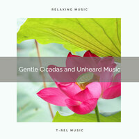 Shooting Cicadas and Wild Tunes for Spa - Spa Music Hour