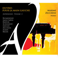 Etude, Op. 36 - Maxime Zecchini