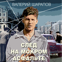Валерий Шарапов. «След на мокром асфальте». Часть 5 - Сергей Кулешов