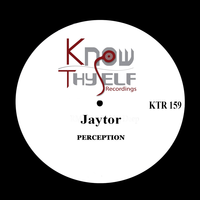 Perception - Jaytor