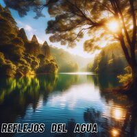 Melodías del Atardecer - Sonidos para aliviar el estrés & Sonido del fuego & Hoguera en la playa