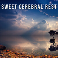 Cerebral Tranquility Sanctuary - Zen Universal