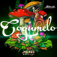 Vai Rolar o Mete Mete - DJ Pierre Original & MC PRB