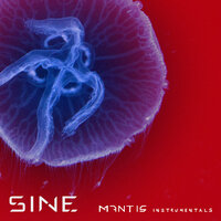 Je Suis - Sine
