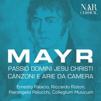 Passio domini nostri Jesu Christi: In illa hora dixit Jesus turbis - Neues Bachisches Collegium Musicum & Pierangelo Pelucchi