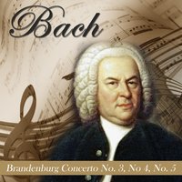 Brandenburg Concerto No. 3 in G Major, BWV 1048: II. Adagio - Orchestra da Camera Fiorentina & Giuseppe Lanzetta & Johann Sebastian Bach