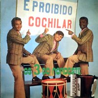 Voltar pra bahia - Os 3 do Nordeste