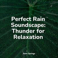 Lakeside, Waves, Lapping, Birds - Pro Sounds of Nature & Yoga Sounds & Sounds of Nature for Deep Sleep and Relaxation