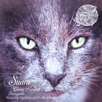 Shap Shoy - Tom Hades
