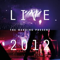 Corduroy - The Wedding Present