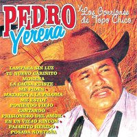 Me Estoy Poniendo Viejo - Pedro Yerena