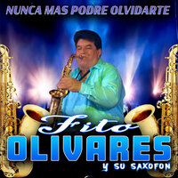 Errores Y Defectos - Fito Olivares