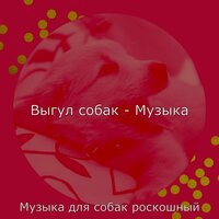 Впечатление (Щенки) - Музыка для собак роскошный