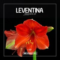 Space Control - Leventina