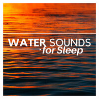 Under Control - Underwater Sounds of Nature