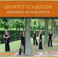 Quintetto a fiato: VI. Groteska - Quintette Aquilon