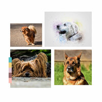 Happy (Dogs on Couch) - Music for Dogs