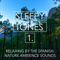 Relaxing by the Spanish Nature Ambience Sounds, Pt. 18 - Jason Rivers