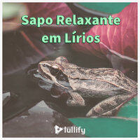 Perto da Lagoa - Lullify Português