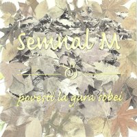 Ecou - Semnal M
