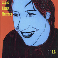 I Lost My Baby To The Arms Race - James Robert Morrison