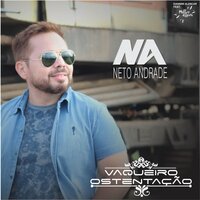 Vai Ser Desmantelo - Neto andrade