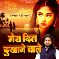Mera Dil Dukhane Waale - Naim Sabri