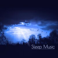 Sweet Night (Angel Music) - Restful Sleep Music Collection