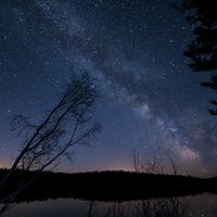 Our Connection - Nature Sound Series