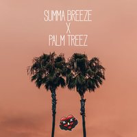 Summa Breeze X Palm Treez - Blizz Wellz