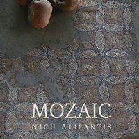 Pasul Tau - Nicu Alifantis