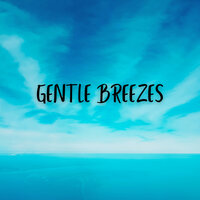 Imposing - Salon Sounds Gentle