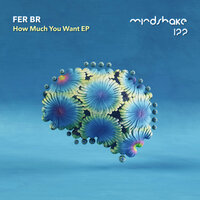How Much You Want - Fer BR