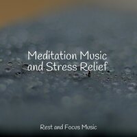 Absolute Zen - Musica Reiki & Shakuhachi Sakano & Mindfulness Meditation Universe
