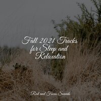 Relax Blues - Natural Sound Makers & Amazing Spa Music & Nature Sound Series